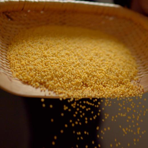 延黄珍谷米脂黄小米 粮食小米杂粮多规格可选 商品图1