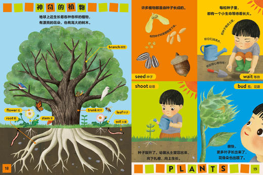 【童趣】大英儿童百科幼儿认知大书 商品图9