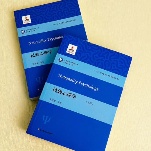 民族心理学 上下2册 当代中国心理科学文库 张积家 高等院校心理学 人类学 民族学专业 商品图1