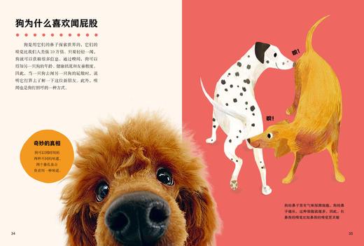 【童趣】大英儿童百科百问百答（精装） 商品图9