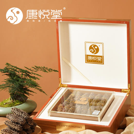 【康悦堂·皇品关东参】关东参 野生干参 20-70头/250g/盒  高泡发率 商品图4