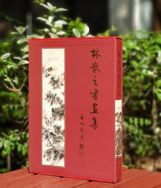 《林散之书画集》，精装，16开，文物出版社2003年版，297页，定价300，售价148元。 商品图0