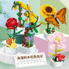 【2件5折】积木花束兼容乐高积木盆栽益智拼装昆虫蝴蝶造景摆件装饰礼品103F_HLY 商品缩略图1