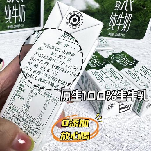 新希望云致浓纯牛奶200ml*10盒*5提高钙营养学生儿童早餐搭配牛奶 商品图7