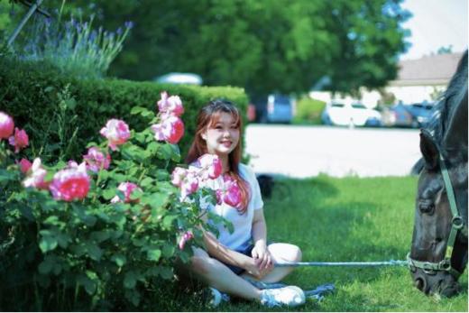 马匹合影 商品图5