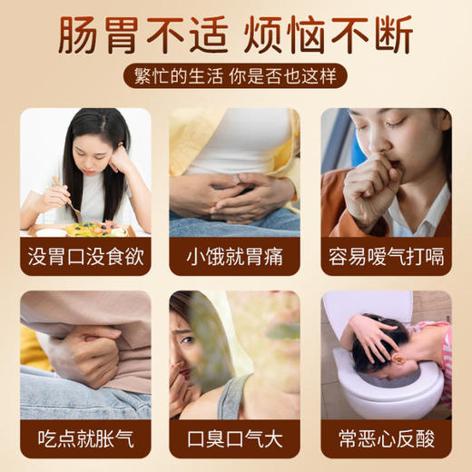 北京同仁堂 内廷上用猴头菇葛根玉米糊 600g/罐 多种膳食 科学配比 商品图3