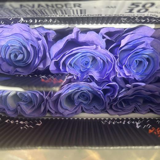 厄瓜多尔进口染色BLUE LAVANDER蓝心薰衣草玫瑰花10支 商品图3