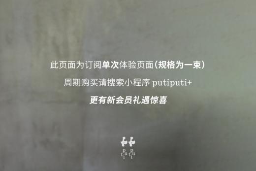 订阅单次体验（1束） 商品图4