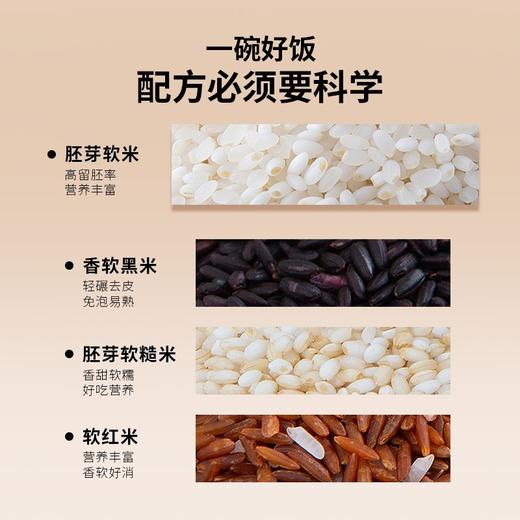 轻糙四色米 商品图7