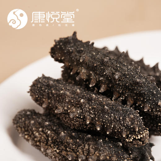 【康悦堂·悦品辽渤参】大连淡干海参 春季滋补 高泡发率  30--150头/斤  免费包邮    免费代泡发 商品图4