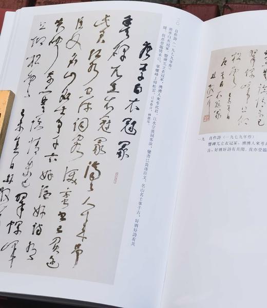 《林散之书画集》，精装，16开，文物出版社2003年版，297页，定价300，售价148元。 商品图14