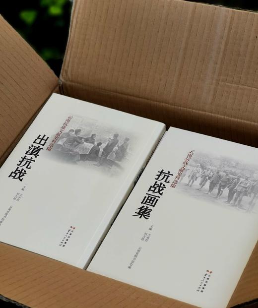 《云南抗战文献史料选编》全11册，一箱装，王水乔等主编，云南人民出版社2016年版，定价2000，售价388元。 商品图1