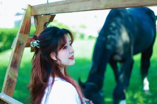 马匹合影 商品图4