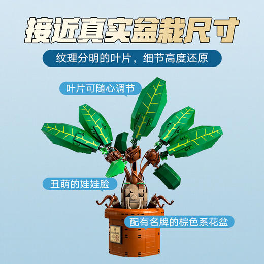乐高积木L76433哈利波特系列曼德拉草 商品图3
