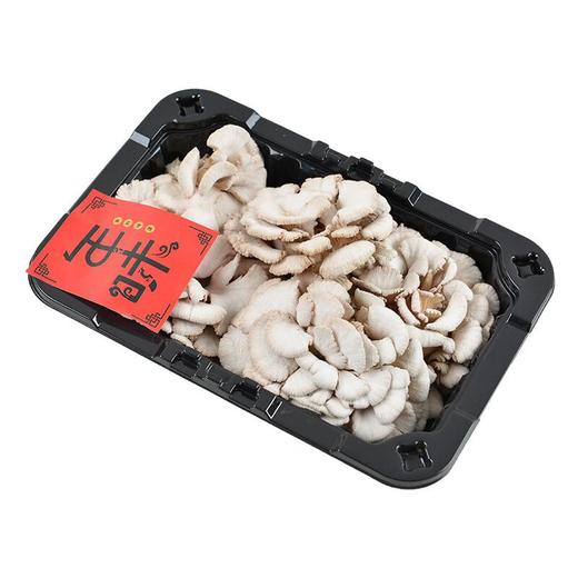 白参菌 约120g/盒 商品图4