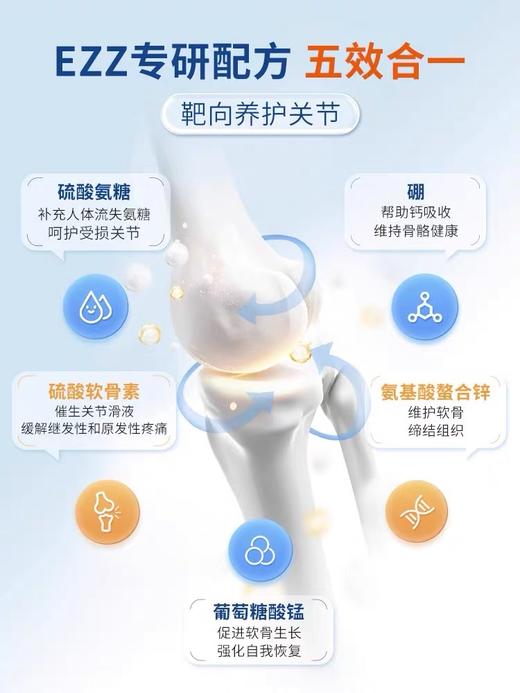 EZZ 氨糖软骨素   60粒/瓶 商品图3
