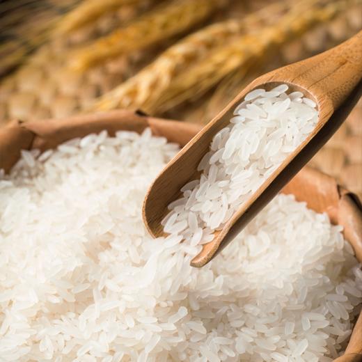 象牙王子 籼米15kg 商品图1