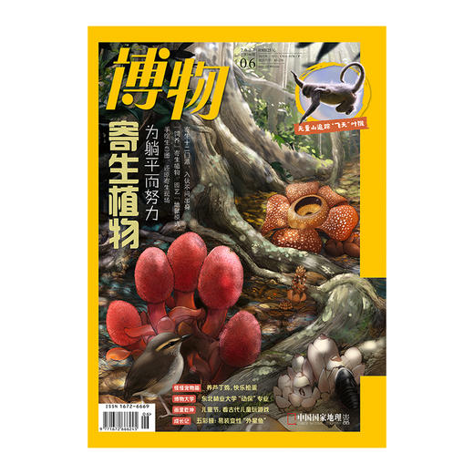 《博物》202406 寄生植物  无量山追踪印支灰叶猴  东北林业大学动保专业  宠物芦丁鸡 商品图0