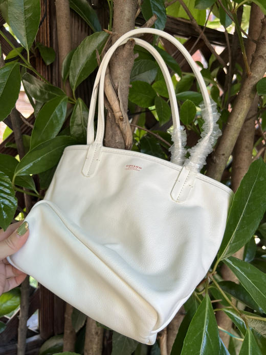 528-5 狗牙红心♥️双面mini购物袋 商品图13