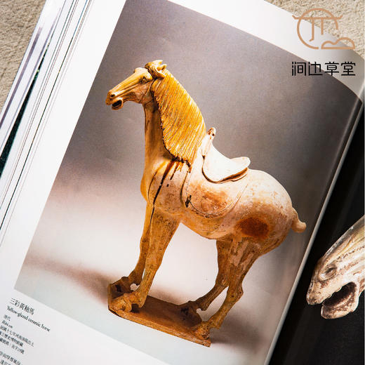 【绝版好书】《王朝秘宝-古中原考古文物展》16开300页，2005年台历史博物馆出版 商品图7