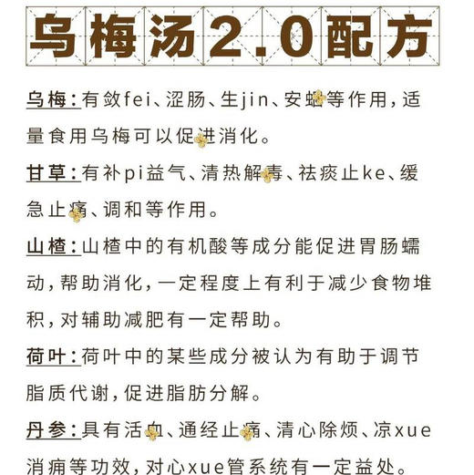杭州三院乌梅汤2.0（2包/组） 商品图5
