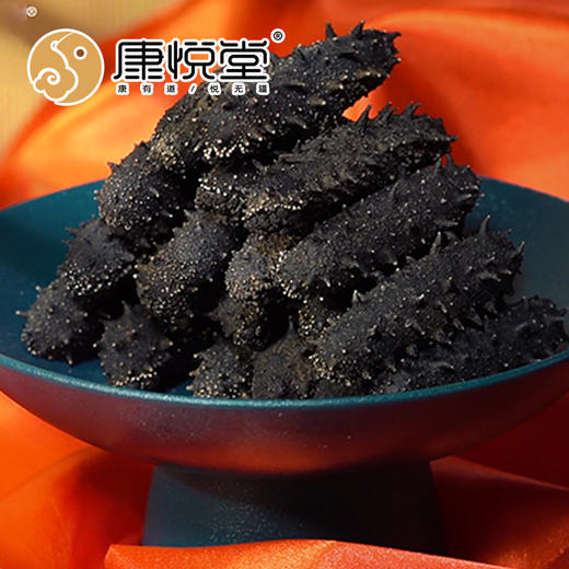 【康悦堂·康品辽渤参】大连纯淡干辽刺参  泡发率高  无添加 无激素 健康参 商品图3