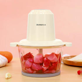 志高绞肉机家用电动2L多功能碎肉打肉切碎搅拌料理BZ13 2L