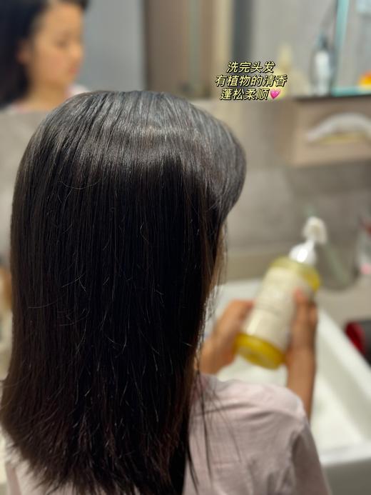 【迷迭香艾姜植物精油洗发水】 无硅油、无合成香精，洁净去油，柔顺护润 商品图3