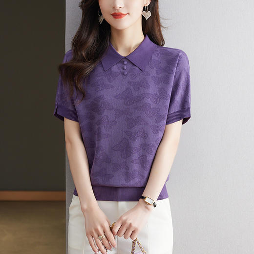 CC 10-5320薄款冰丝翻领纯色休闲显瘦T恤衫上衣 商品图0