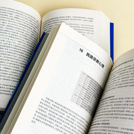 民族心理学 上下2册 当代中国心理科学文库 张积家 高等院校心理学 人类学 民族学专业 商品图6