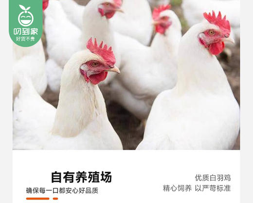 谷妙郎单冻鸡中翅/1包（18-20个，共约1kg）生产日期：25年3月 商品图3
