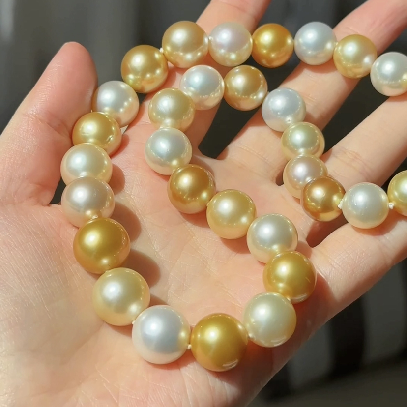 南洋极光皇后11-13.5mm