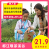 【都江堰·茶溪谷|VIP最高减8元】单人采茶制茶体验票24.9元享！学习制茶的过程和工序，体验茶文化，劳动成果可带回家哦！ 商品缩略图0