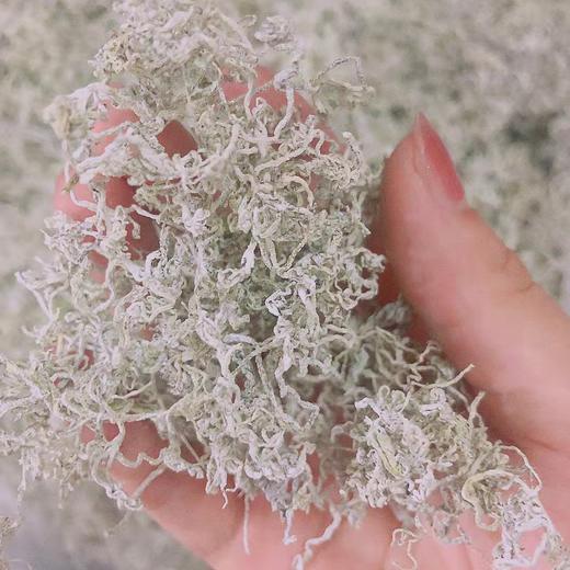 【严选】恩施黄四姐土家特级藤茶50g   （厂家直发） 商品图2