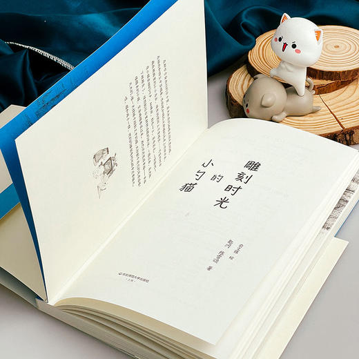 【6-10岁】小勺猫故事系列 儿童文学读物 插图版 商品图6