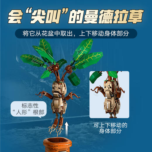 乐高积木L76433哈利波特系列曼德拉草 商品图4