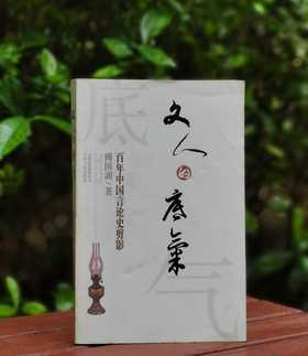 《文人的底气：百年中国言论史剪影》，傅国涌著，云南人民出版社出版，售价25元，非偏远地区包邮。特别注意，品相9成左右。