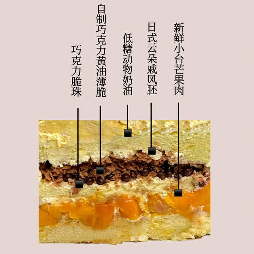 布丁小熊 商品图1