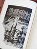 《云南抗战文献史料选编》全11册，一箱装，王水乔等主编，云南人民出版社2016年版，定价2000，售价388元。 商品缩略图13