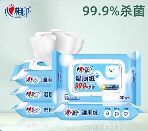 心相印 湿厕纸40抽便携厕后湿巾私处专用清洁杀菌湿手纸卫生厕巾40抽1包×5包 商品图0