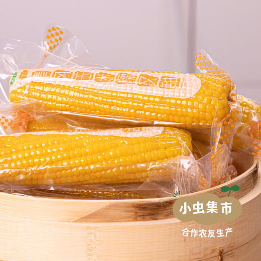 有机鲜食糯玉米 5斤装*10根 | 合作农友生产，产自黑龙江青冈县，生产者：刘福财 *【公平贸易农人定价】 商品图3