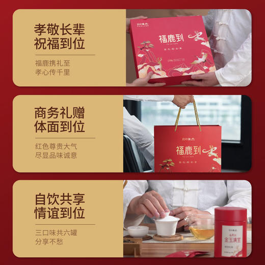 贝叶集端午茶叶礼盒装特级浓香型云南古树滇红茶生普洱茶白毫银针 商品图4