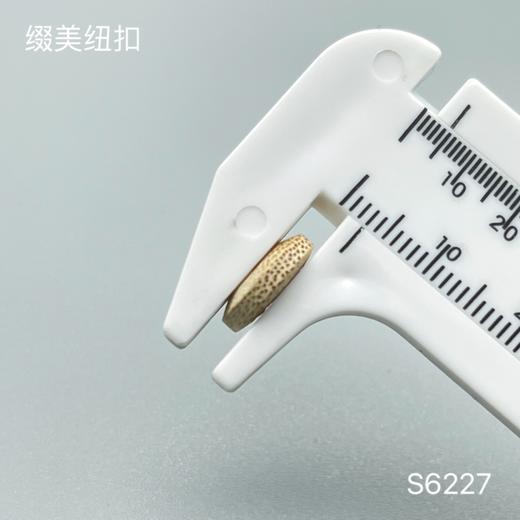 S6227(整包购买) 商品图3