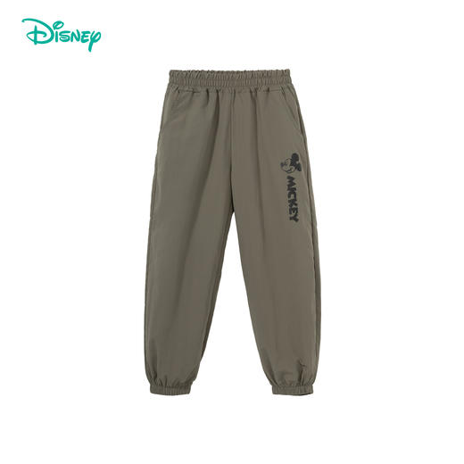 迪士尼【凉感防蚊裤】2024夏季薄款宝宝防蚊裤男童长裤工装休闲裤潮HSND24008 商品图2