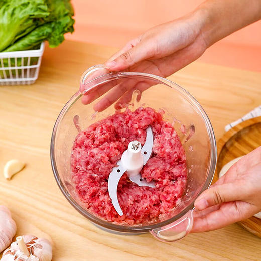志高绞肉机家用电动2L多功能碎肉打肉切碎搅拌料理BZ13 2L 商品图2