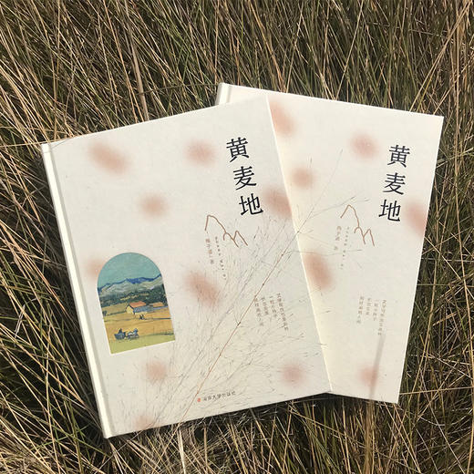 黄麦地（精装版） 商品图1