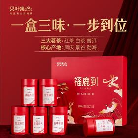 贝叶集端午茶叶礼盒装特级浓香型云南古树滇红茶生普洱茶白毫银针