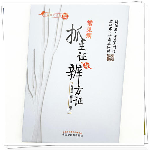 常见病抓主证与辨方证(全国经方论坛) 鲍艳举 著 中国中医药出版社方证相对病症病机方证三法合一内外妇儿各科书籍 商品图4