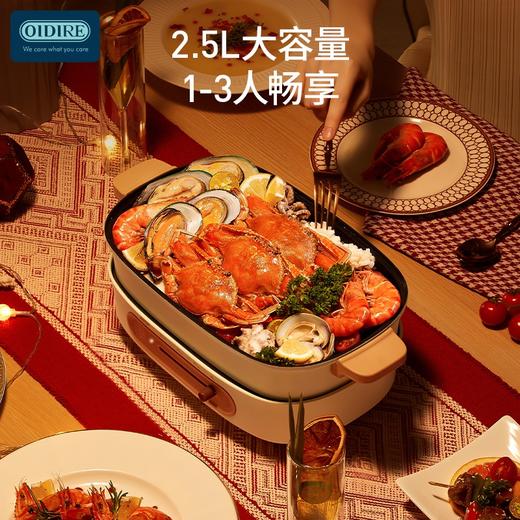 OIDIRE多功能料理锅ODI-DGN02
 商品图5