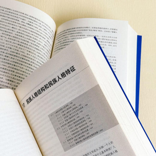 民族心理学 上下2册 当代中国心理科学文库 张积家 高等院校心理学 人类学 民族学专业 商品图7